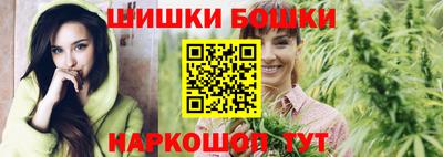 индика Анжеро-Судженск