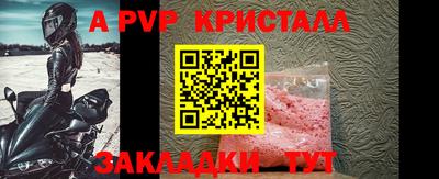 индика Анжеро-Судженск