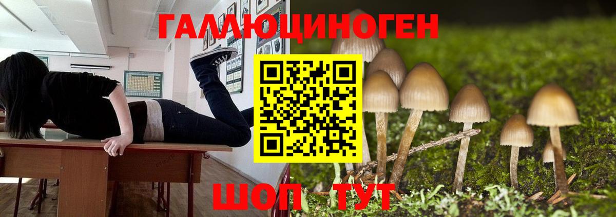 Архангельск  как найти закладки  Вход с VPN  Галлюциногенные грибы Psilocybe  Галлюциногенные грибы GOLDEN TEACHER 